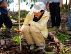 Tanam Pohon Tengkawang, Maudy Ayunda Mendukung Project Reforestasi di Kalimantan dengan Lip Butter Balm