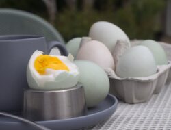 Ini Sejumlah Manfaat Telur Bebek yang Jarang Diketahui