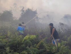 Karhutla di Sanggau: 7 Hektare Lahan Gambut Dekat Jembatan Tayan Terbakar, Tim Gabungan Berjibaku Padamkan Api