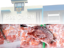 1 Bulan Berlalu! Bea Cukai Bungkam Soal Penangkapan 7,2 Ton Daging Beku Ilegal dari Malaysia