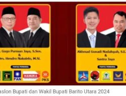 Pilkada 2024, Paling Aneh Di Indonesia