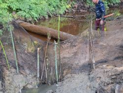 Suria Baya Lestarikan Tradisi Menabat Sungai, Warisan Leluhur Dayak yang Tak Lekang oleh Zaman