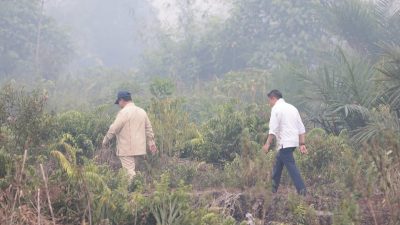 Presiden Prabowo, Turun Langsung ke Palangka Raya, Penanganan Karhutla Kalteng Jadi Perhatian Serius Pemerintah Pusat